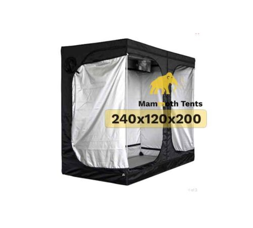 mamooth grow tent