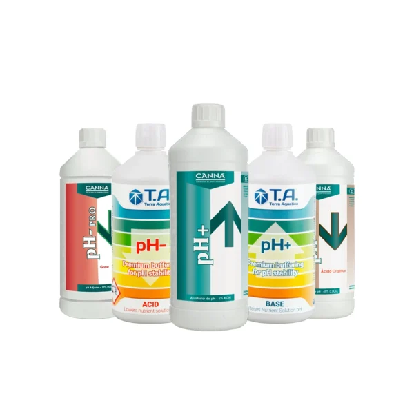 pH რეგულატორები