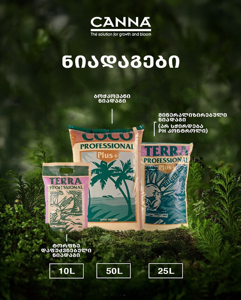 site banner on front page